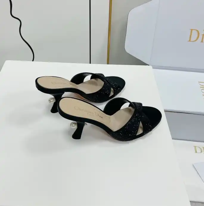 hype Christian Dior Slippers