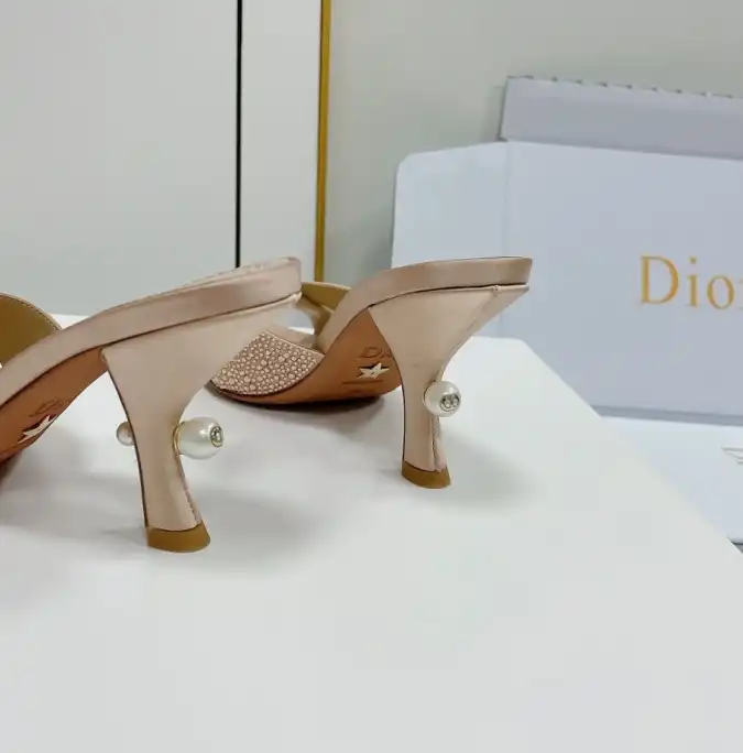 hype Christian Dior Slippers