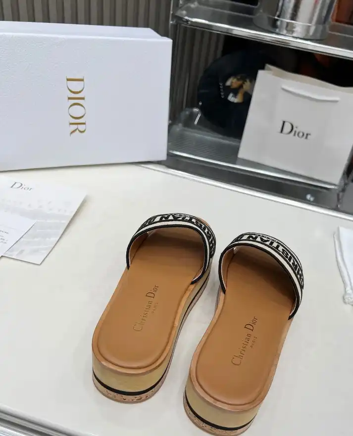 hype Christian Dior Slippers