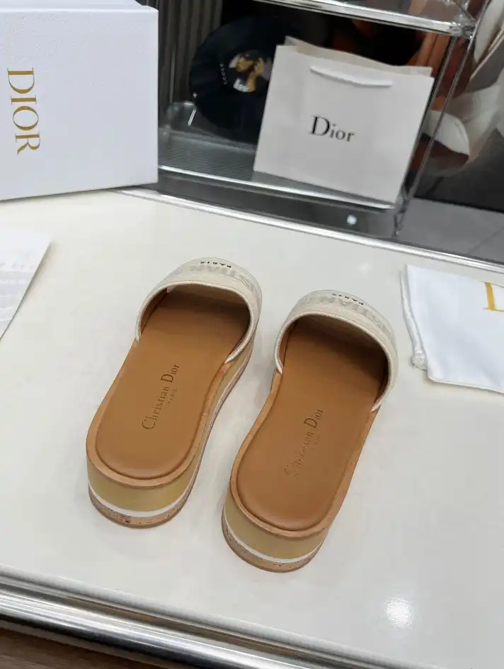 hype Christian Dior Slippers