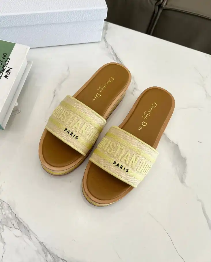 hype Christian Dior Slippers