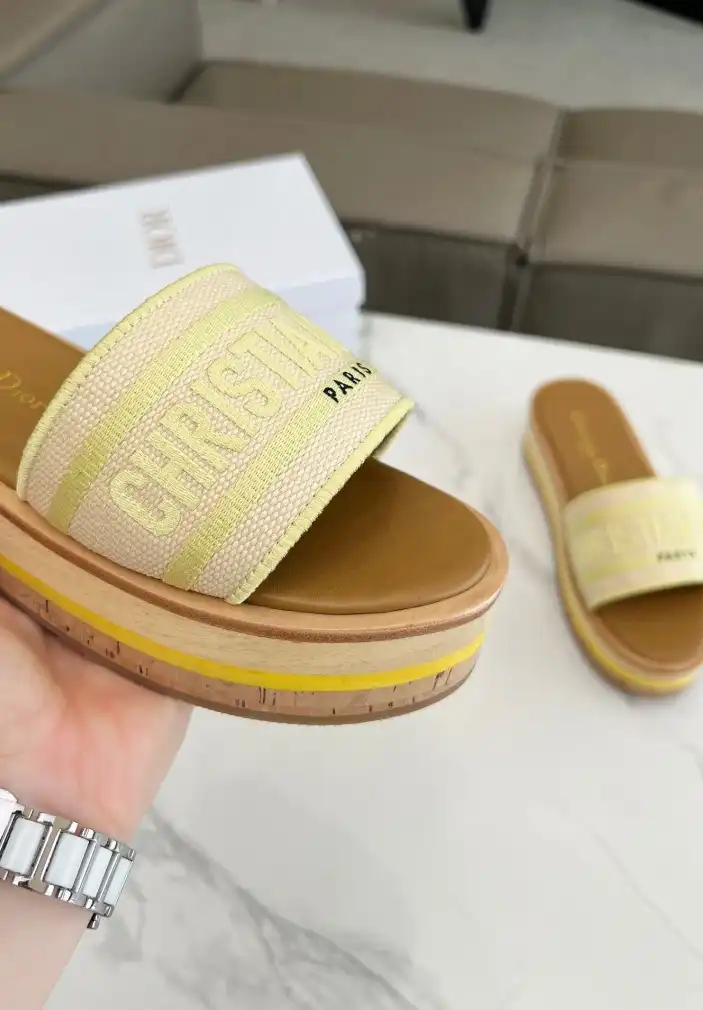 hype Christian Dior Slippers