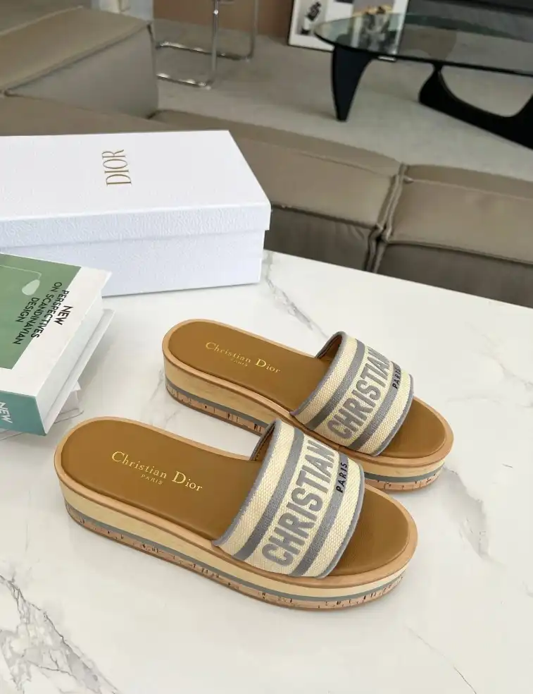 hype Christian Dior Slippers