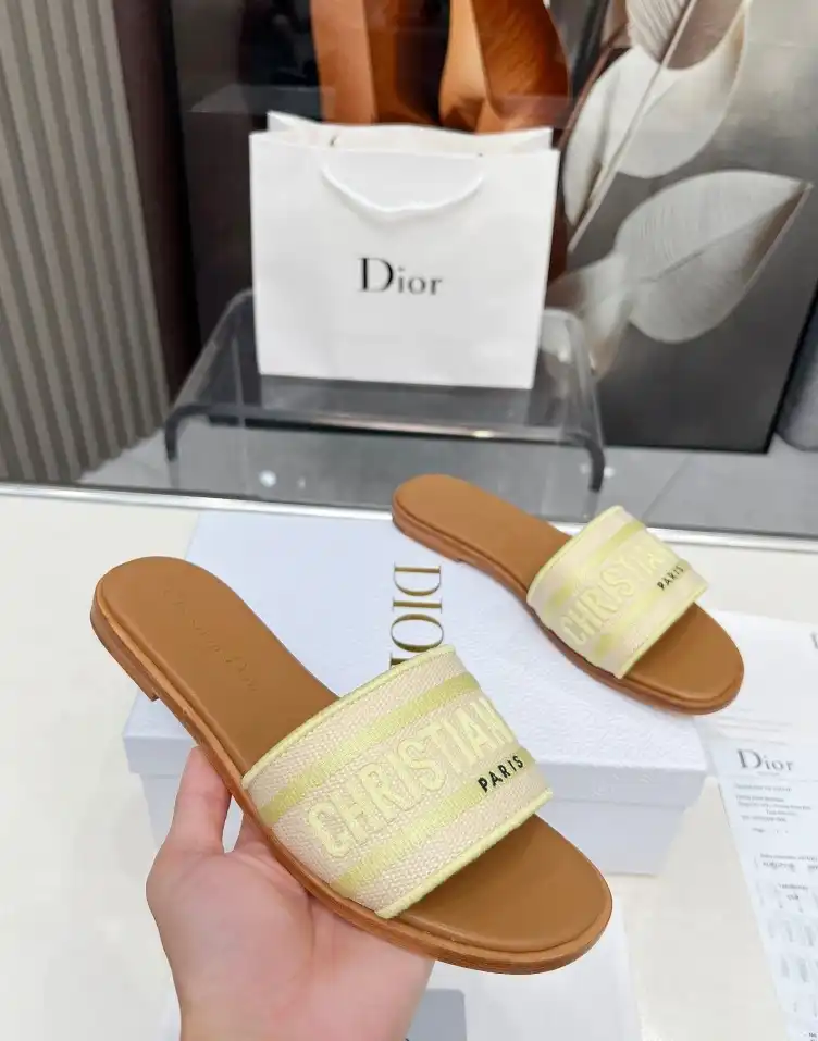 hype Christian Dior Slippers