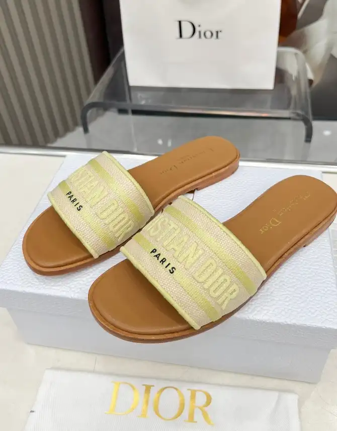 hype Christian Dior Slippers