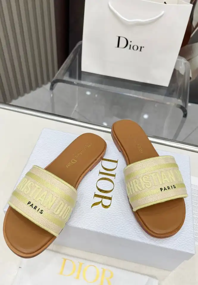 hype Christian Dior Slippers