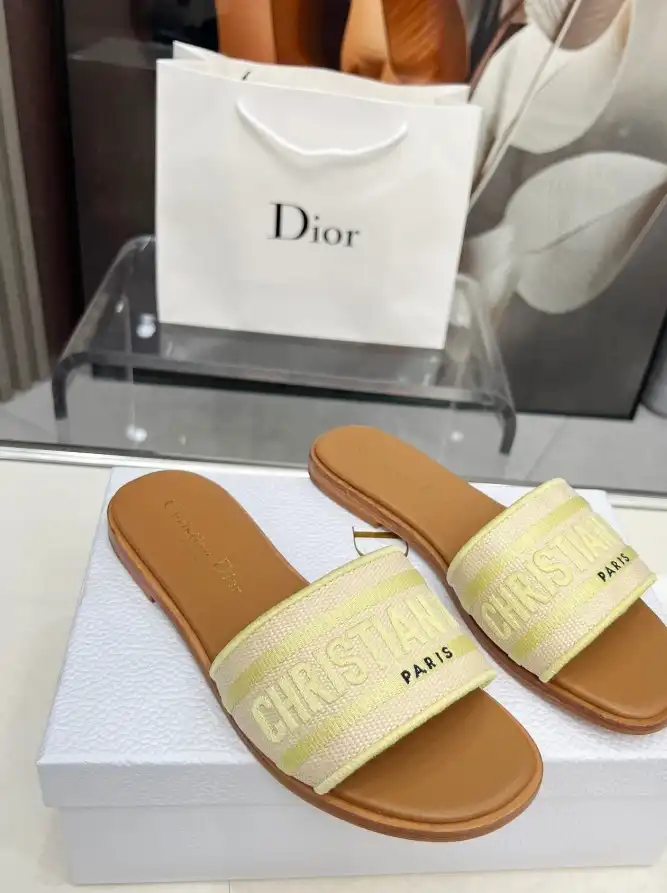 hype Christian Dior Slippers