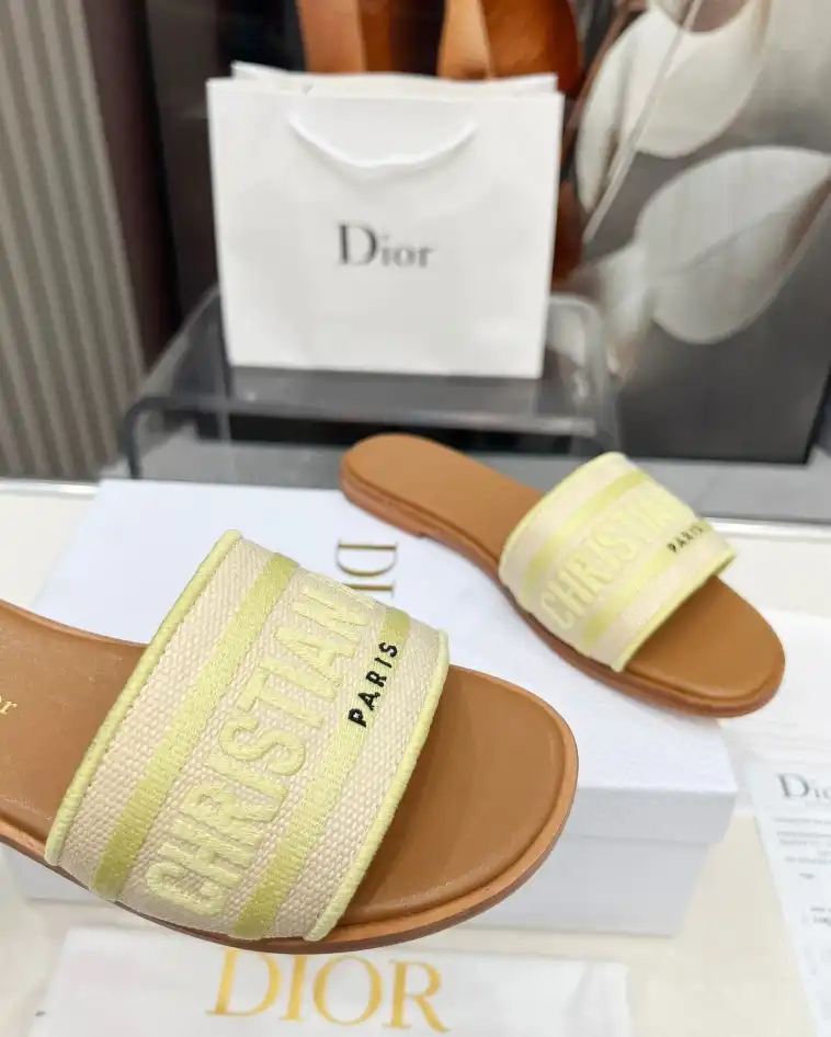 hype Christian Dior Slippers