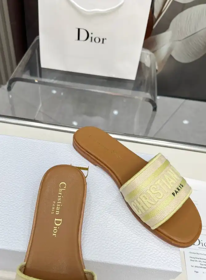 hype Christian Dior Slippers