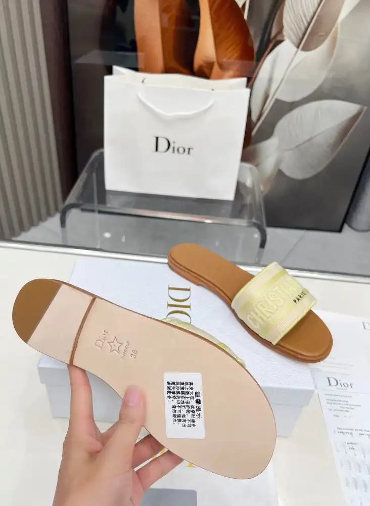 hype Christian Dior Slippers