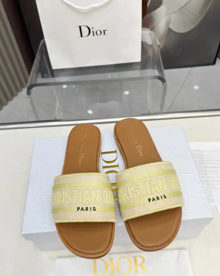 hype Christian Dior Slippers