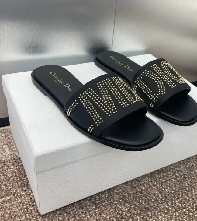 hype Christian Dior Slippers