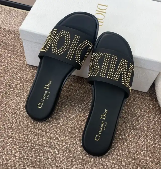 hype Christian Dior Slippers