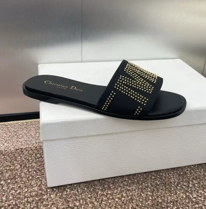 hype Christian Dior Slippers