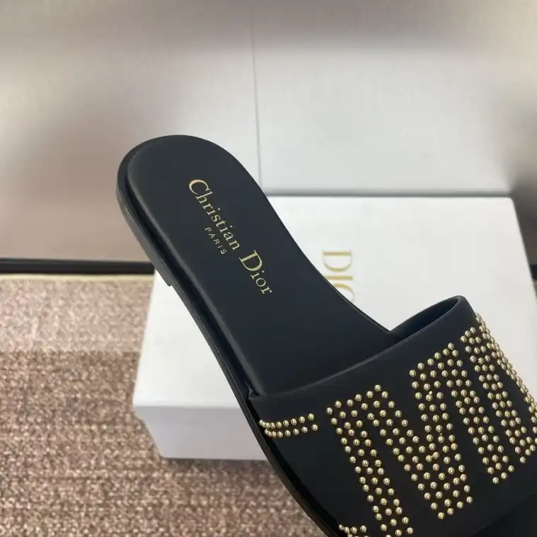 hype Christian Dior Slippers