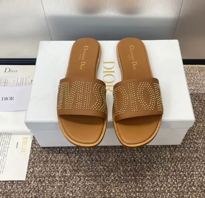 hype Christian Dior Slippers