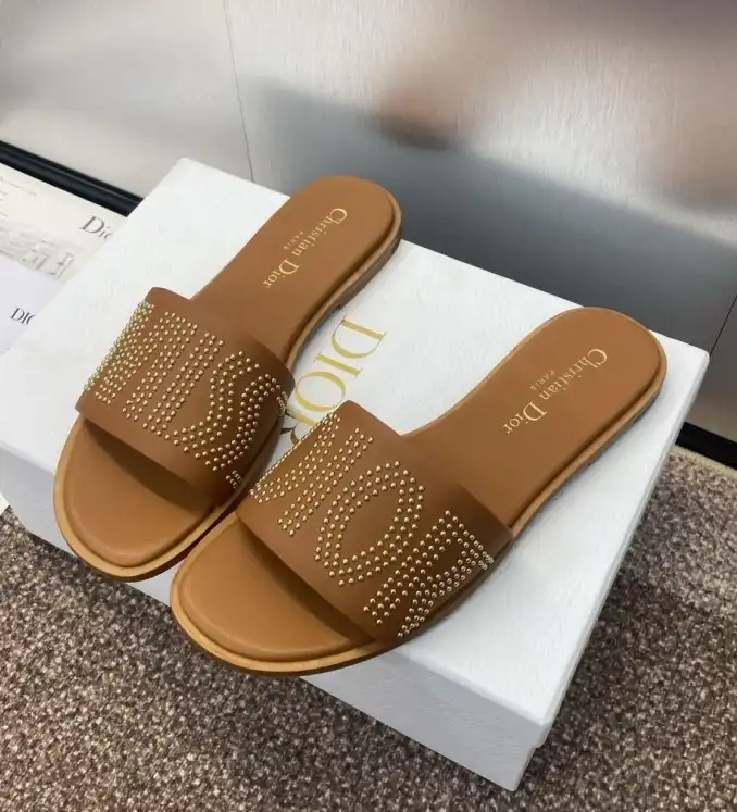 hype Christian Dior Slippers