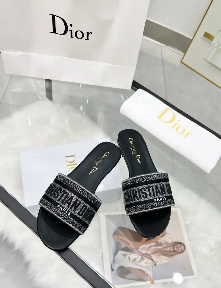 hype Christian Dior Slippers