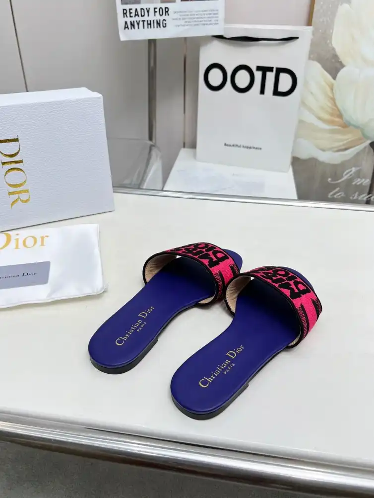 hype Christian Dior Slippers