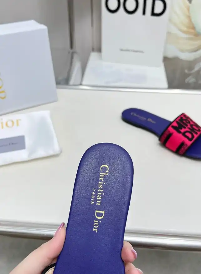 hype Christian Dior Slippers