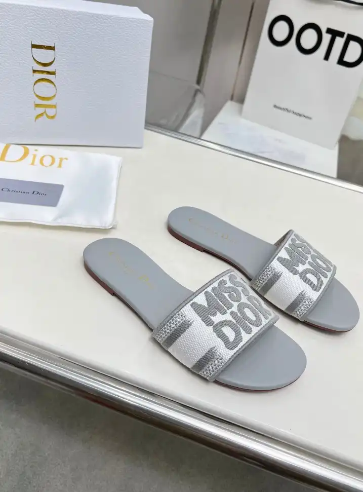 hype Christian Dior Slippers