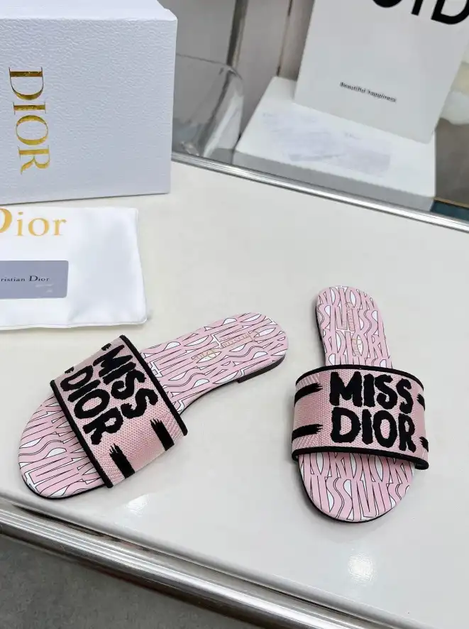 hype Christian Dior Slippers