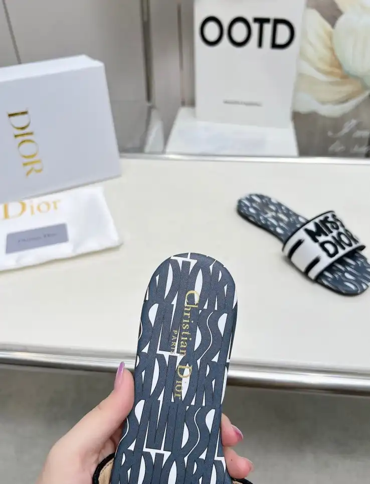 hype Christian Dior Slippers