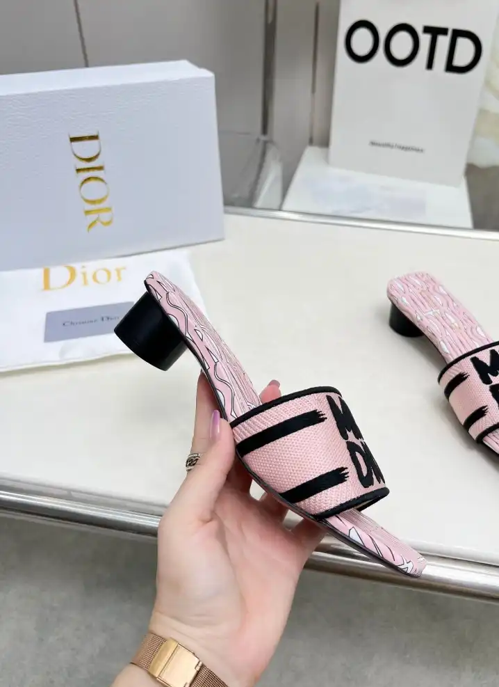 hype Christian Dior Slippers