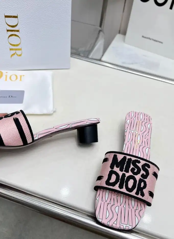 hype Christian Dior Slippers