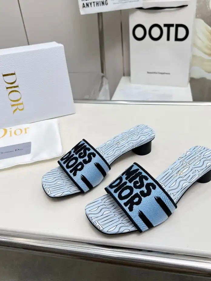 hype Christian Dior Slippers