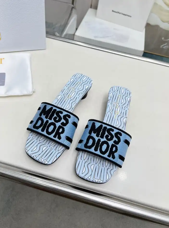 hype Christian Dior Slippers