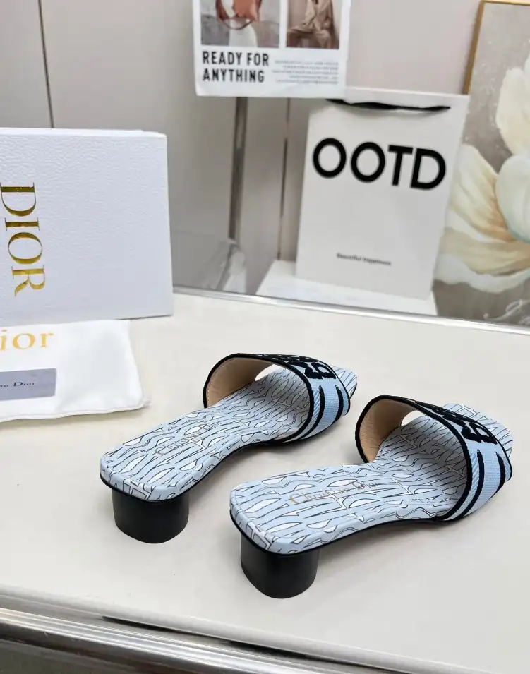 hype Christian Dior Slippers