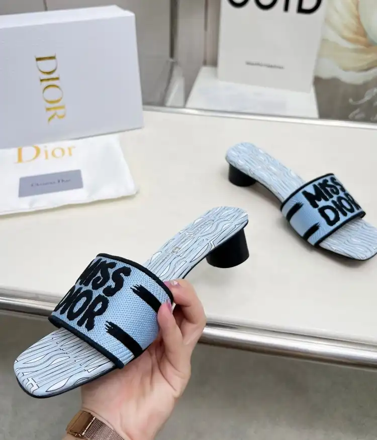 hype Christian Dior Slippers