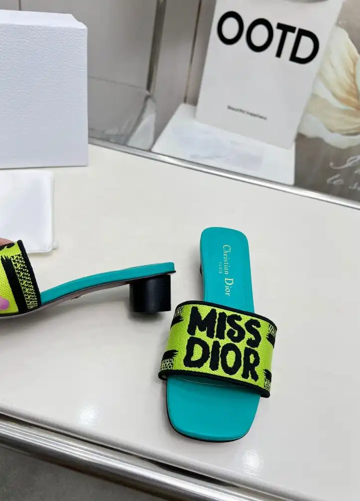 hype Christian Dior Slippers