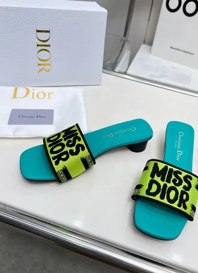 hype Christian Dior Slippers