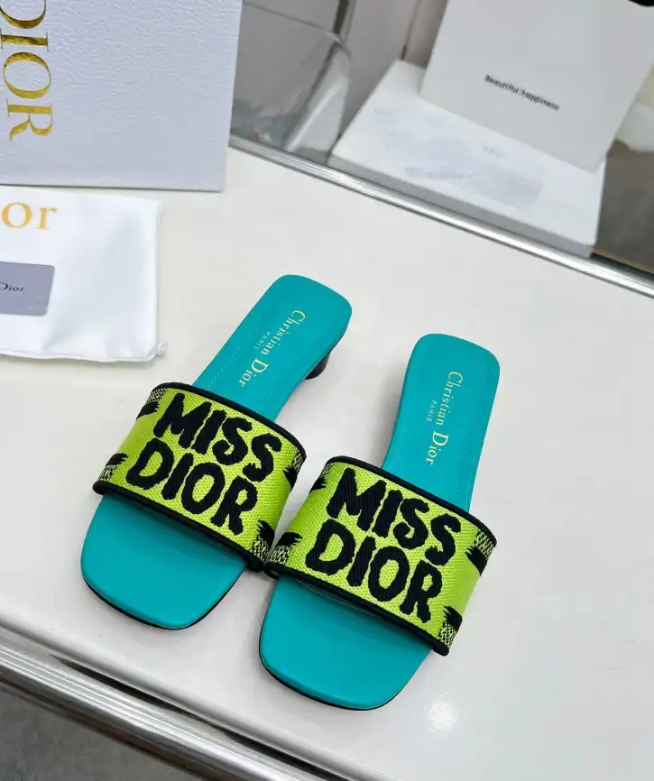 hype Christian Dior Slippers