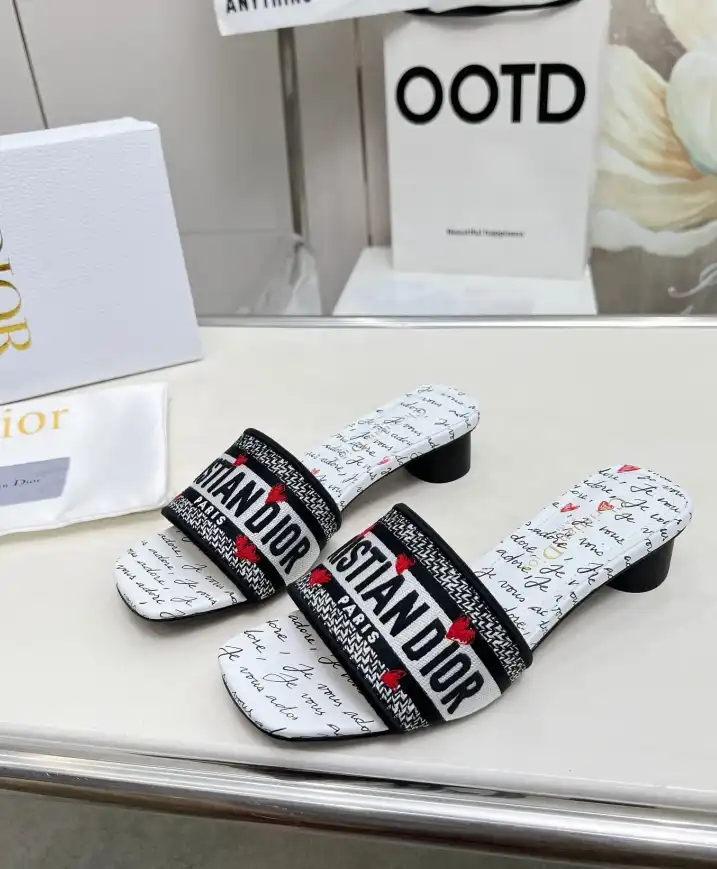 hype Christian Dior Slippers