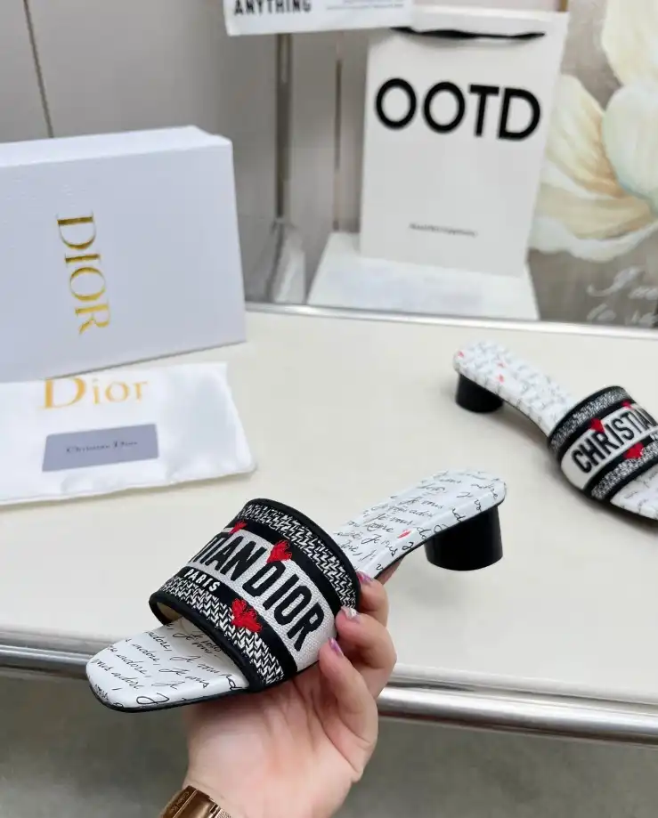 hype Christian Dior Slippers