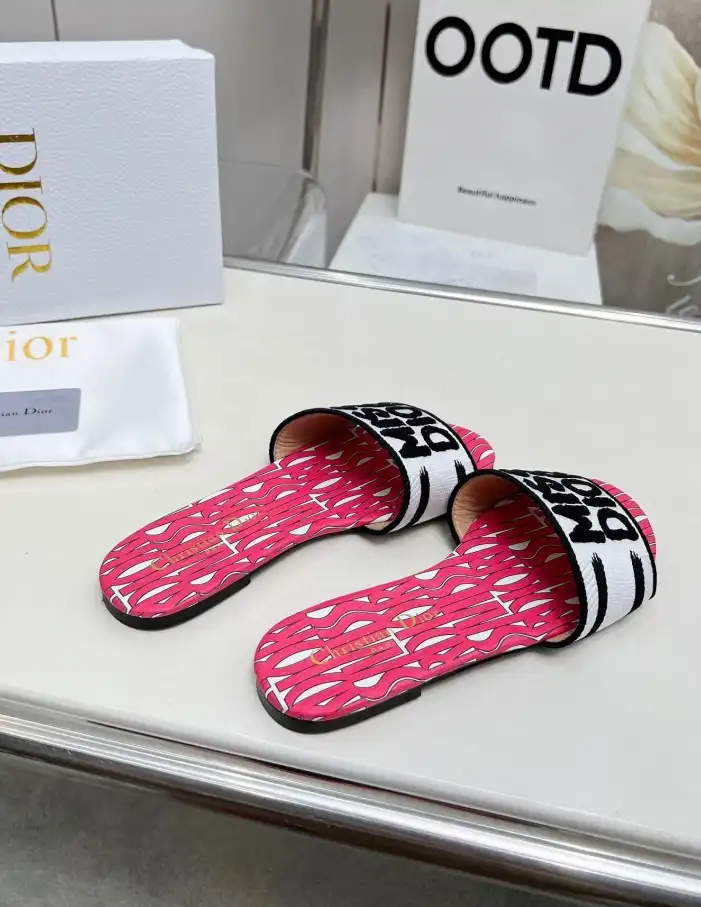 hype Christian Dior Slippers