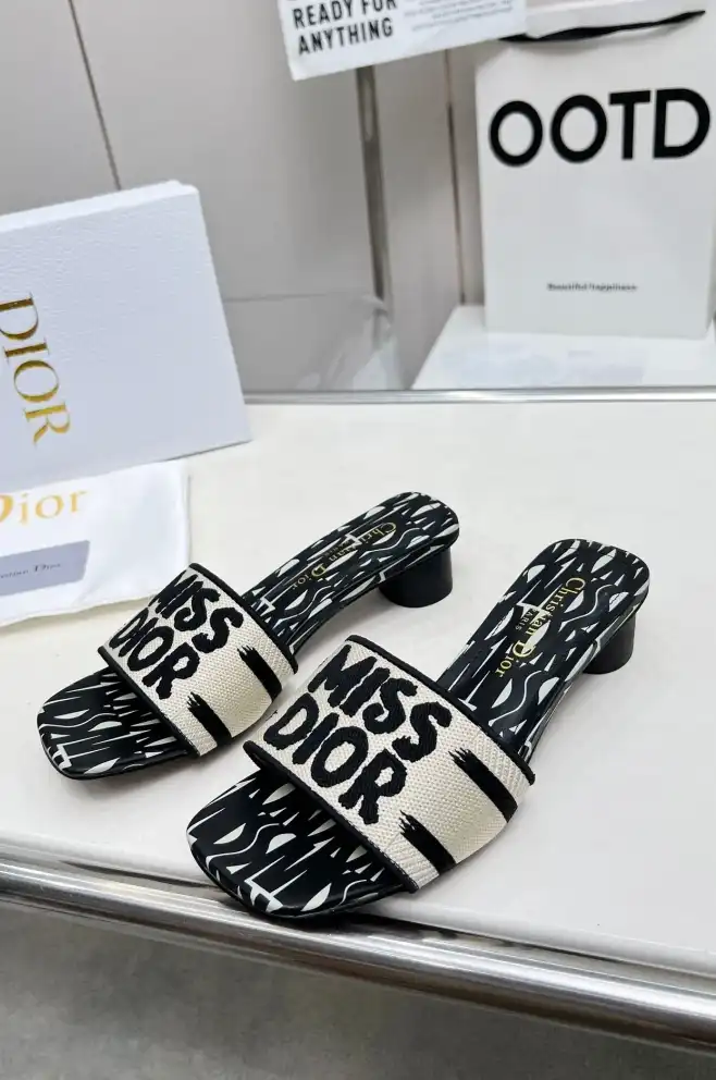 hype Christian Dior Slippers