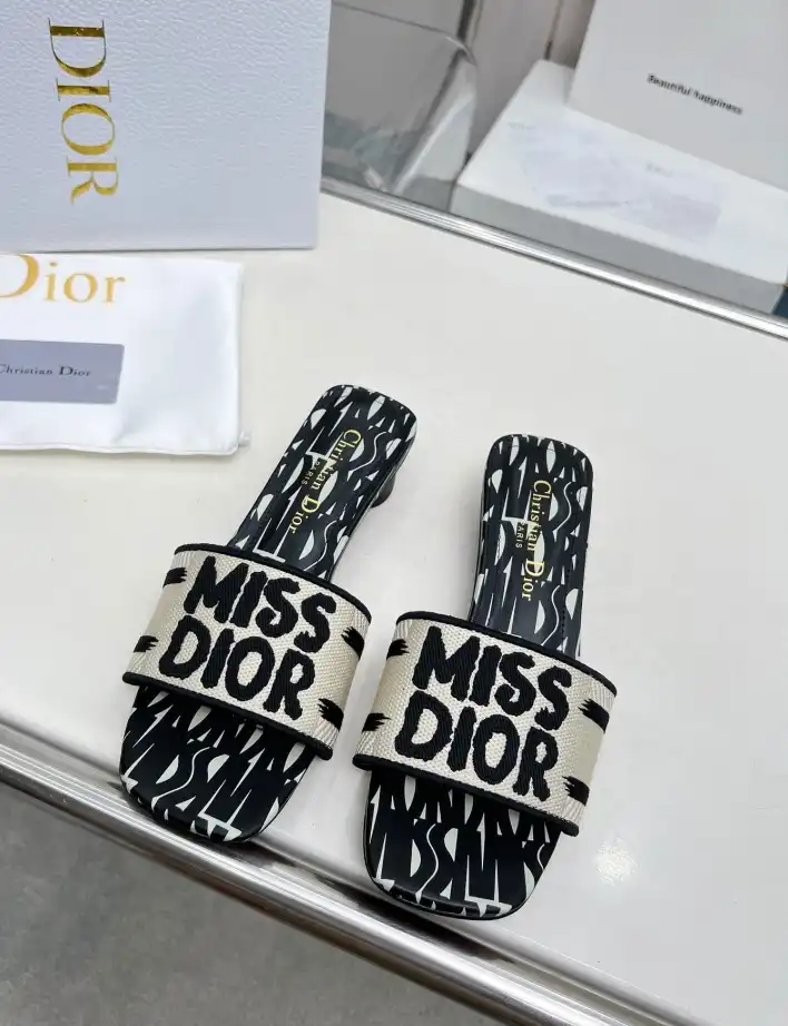 hype Christian Dior Slippers