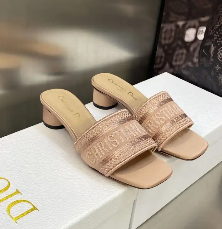 hype Christian Dior Slippers