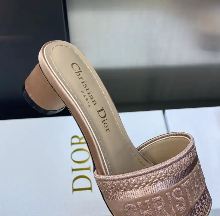 hype Christian Dior Slippers