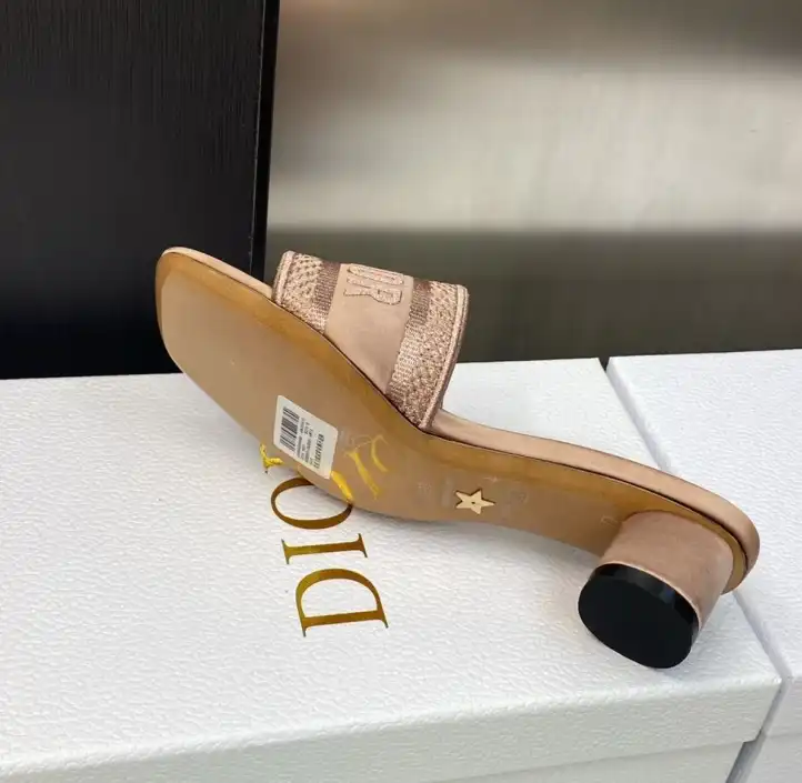 hype Christian Dior Slippers