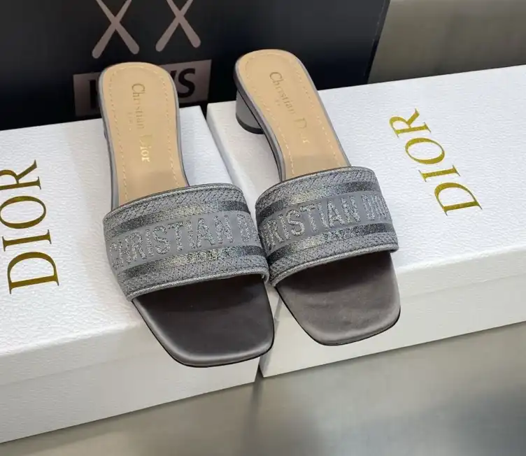 hype Christian Dior Slippers