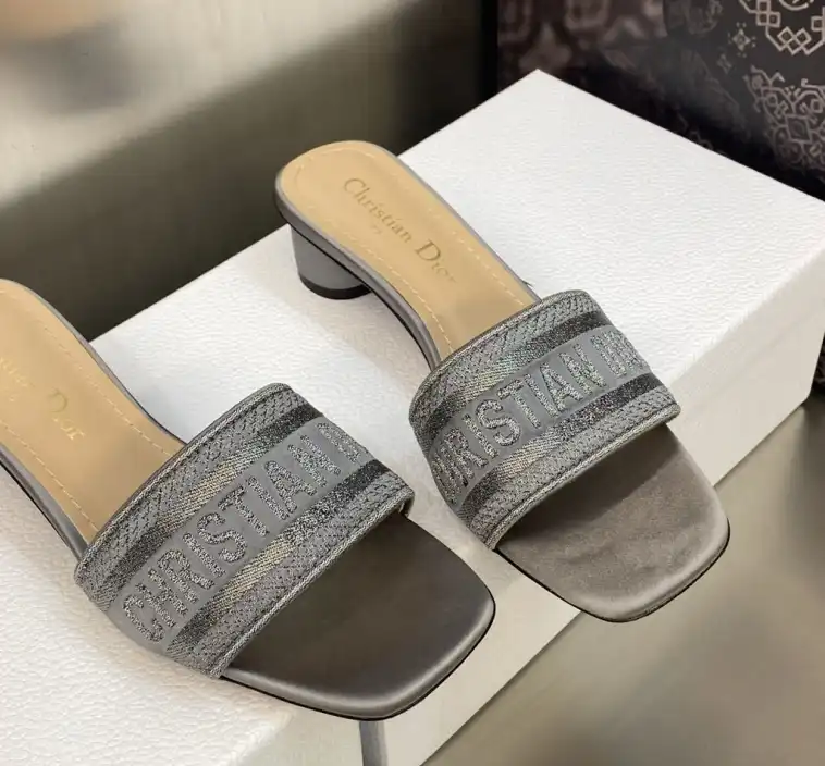 hype Christian Dior Slippers