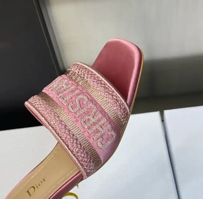 hype Christian Dior Slippers