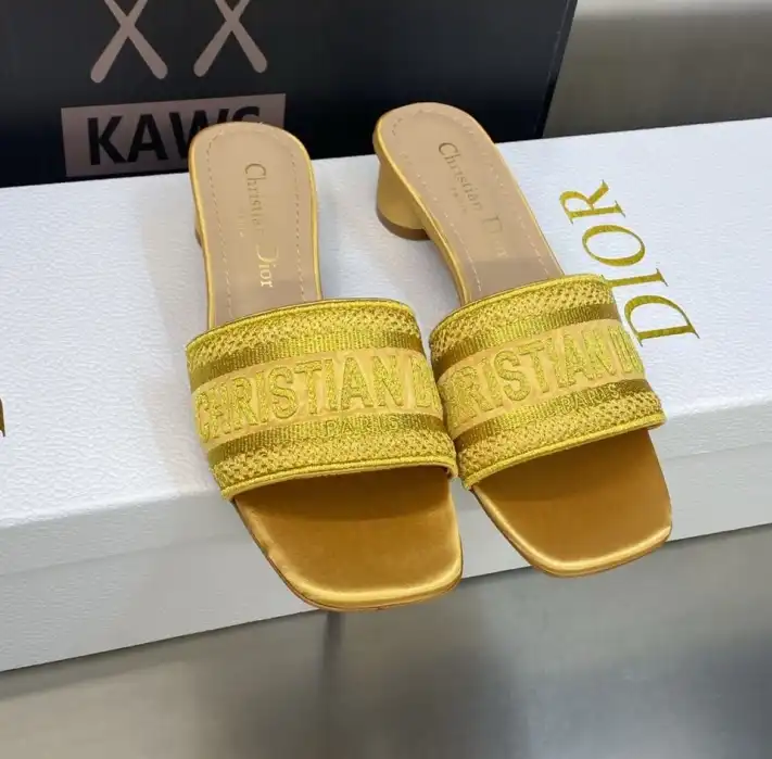 hype Christian Dior Slippers