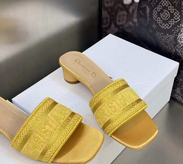 hype Christian Dior Slippers