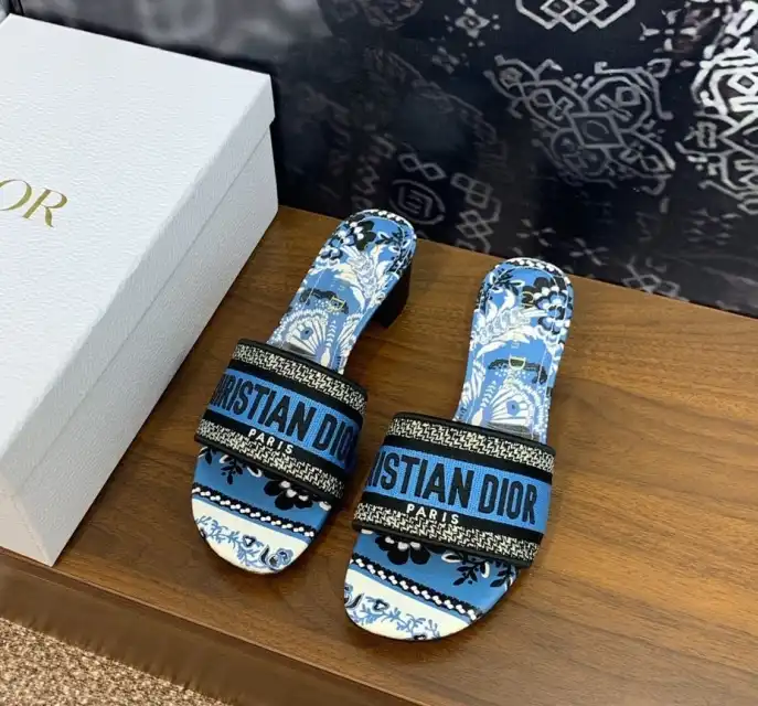 hype Christian Dior Slippers